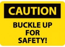  photo Buckle Up 220PX_zpseylnc9wx.jpg